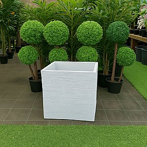 �� ������ ����� � ���