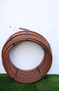 ����� 16 �"� ������ ����� - ���