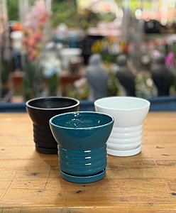 ���� ���� �����