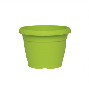 עציץ עגול - צבר עציץ עגול - צבר