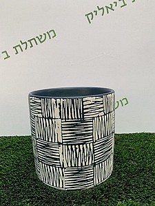 ���� ������ ����� ������ �������