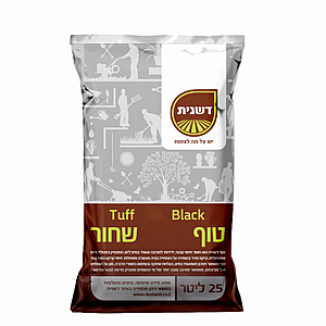 ��� ����