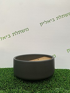 ���� ������ �����