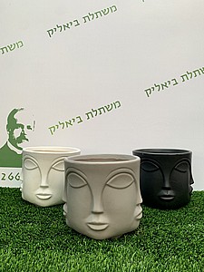 ������-����� ���� 