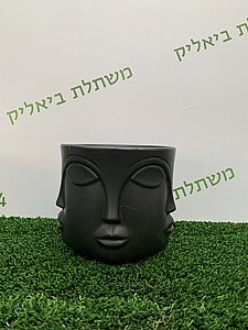 ������ - ����� 