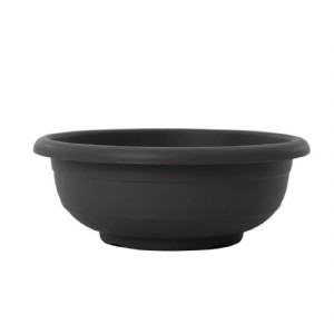 עציץ קערה - ניצן עציץ קערה - ניצן