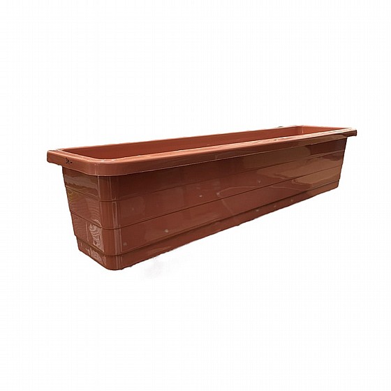 ����� ������ 80 �"� ����