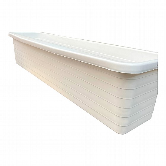 ����� ������ 80 �"� ����