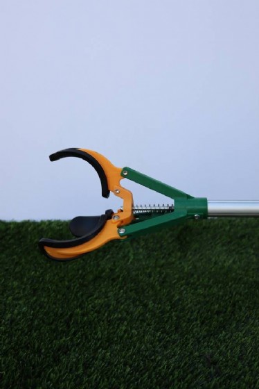 ���� ����� + ��� �������