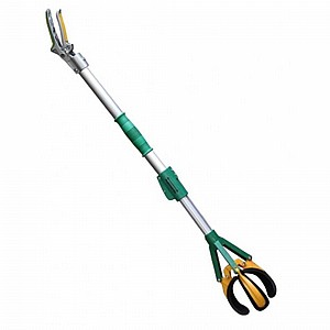 ���� ����� + ��� �������