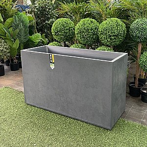 ����� ������ ���� ����� - ���� ���