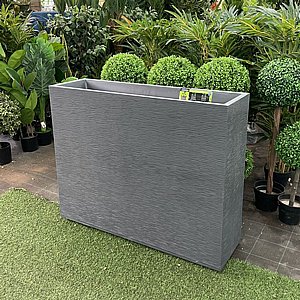 ����� ������ ������ ����� � ���� ���