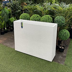 ����� ������ ������ ����� � ���