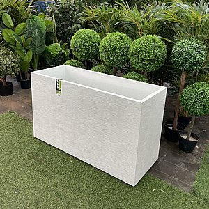 ����� ������ ���� ����� - ���