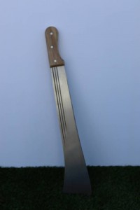 ���� ��������