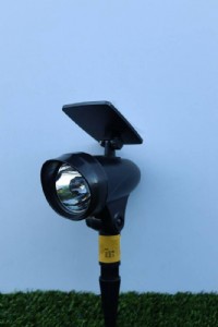 ���� ������