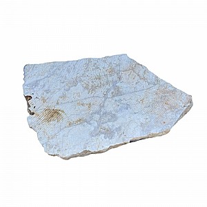 ��� ���� ����� ���� �������