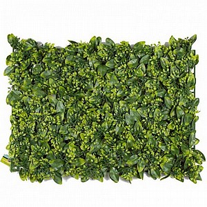 ���� ��� ����