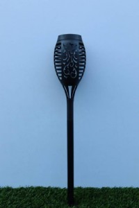 ���� �� ������