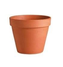 ���� ������ ������ ����