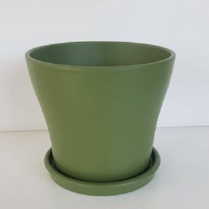 ���� ������ ������