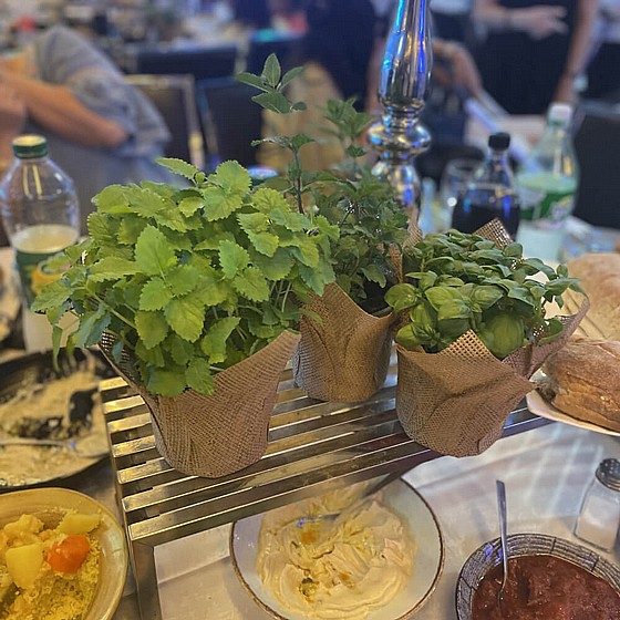 ���� ���� 12 �"�