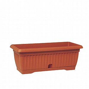 אדנית - רימון אדנית - רימון