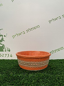 ���� �� �������