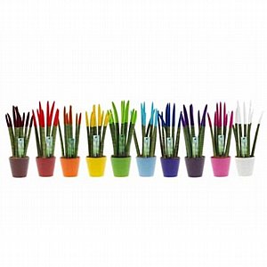 סוקולנט סנסיווריה גלילית צבועה בעציץ מתנה סוקולנט סנסיווריה גלילית צבועה בעציץ מתנה