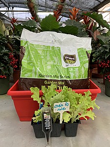 ���� - �����