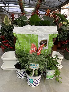 ���� - ����