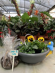 ���� - ����