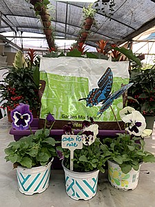 ���� - ���