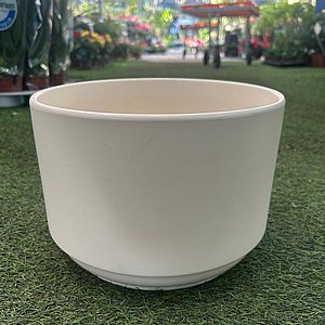 ���� ������� ��� ����