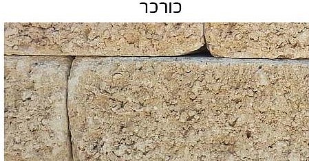 ��� ��� ��� - ���� ������