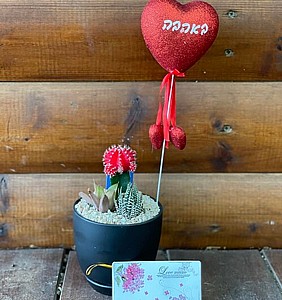 ������� ������� ����� 