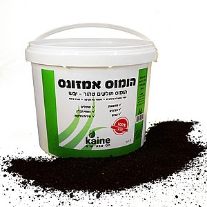 ����� ������ ����� ������� - 5 ����