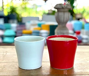 ���� ������ ���