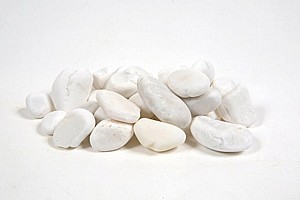 ����� ��� ����� ���� �����  ���� 2 (2-4 �"�) - 1.5 ���