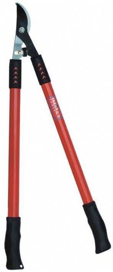 ����� ����� �����