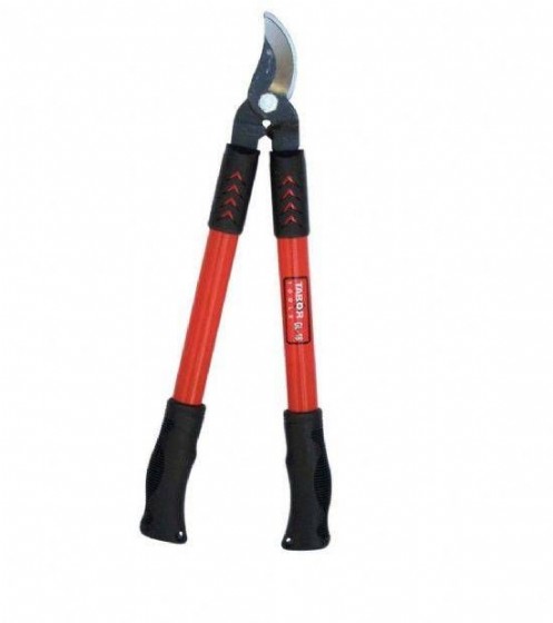 ����� ����� �������