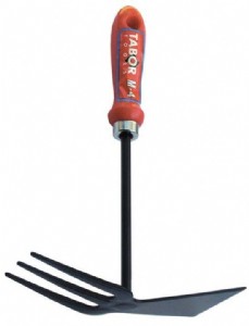 ������ ������ �����